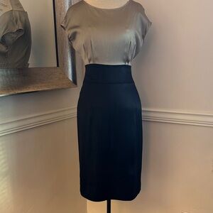 MaxMara Elegant Dress | Size 6
